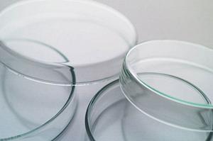 蒲田のマルエツかまた店にある歯医者さん