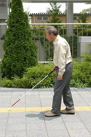 2026年最新｜横須賀中央で選ばれるインプラント治療の完全ガイド