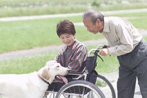 虎ノ門の内科で水疱瘡の治療を受ける