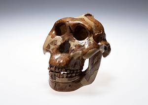 小牧市にある腎臓透析で有名な病院